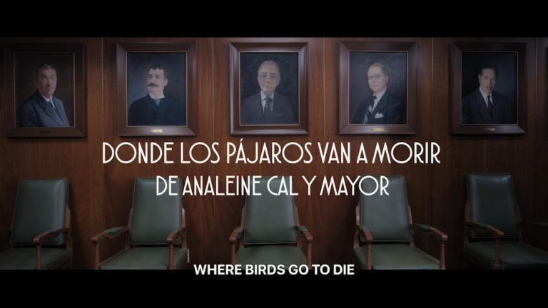Where Birds go to Die