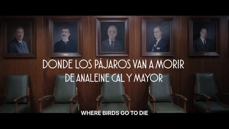 Where Birds go to Die Where Birds go to Die