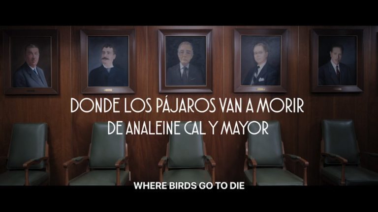 Donde los pájaros van a morir