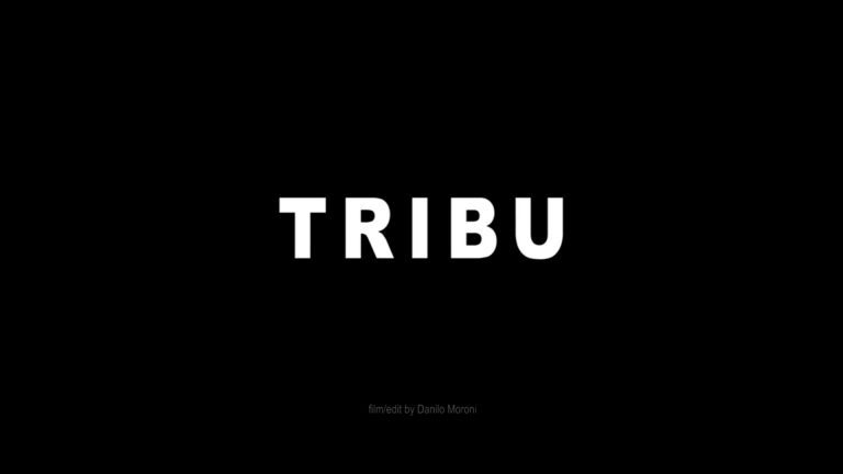 TRIBU TRIBU